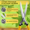 Вид 8